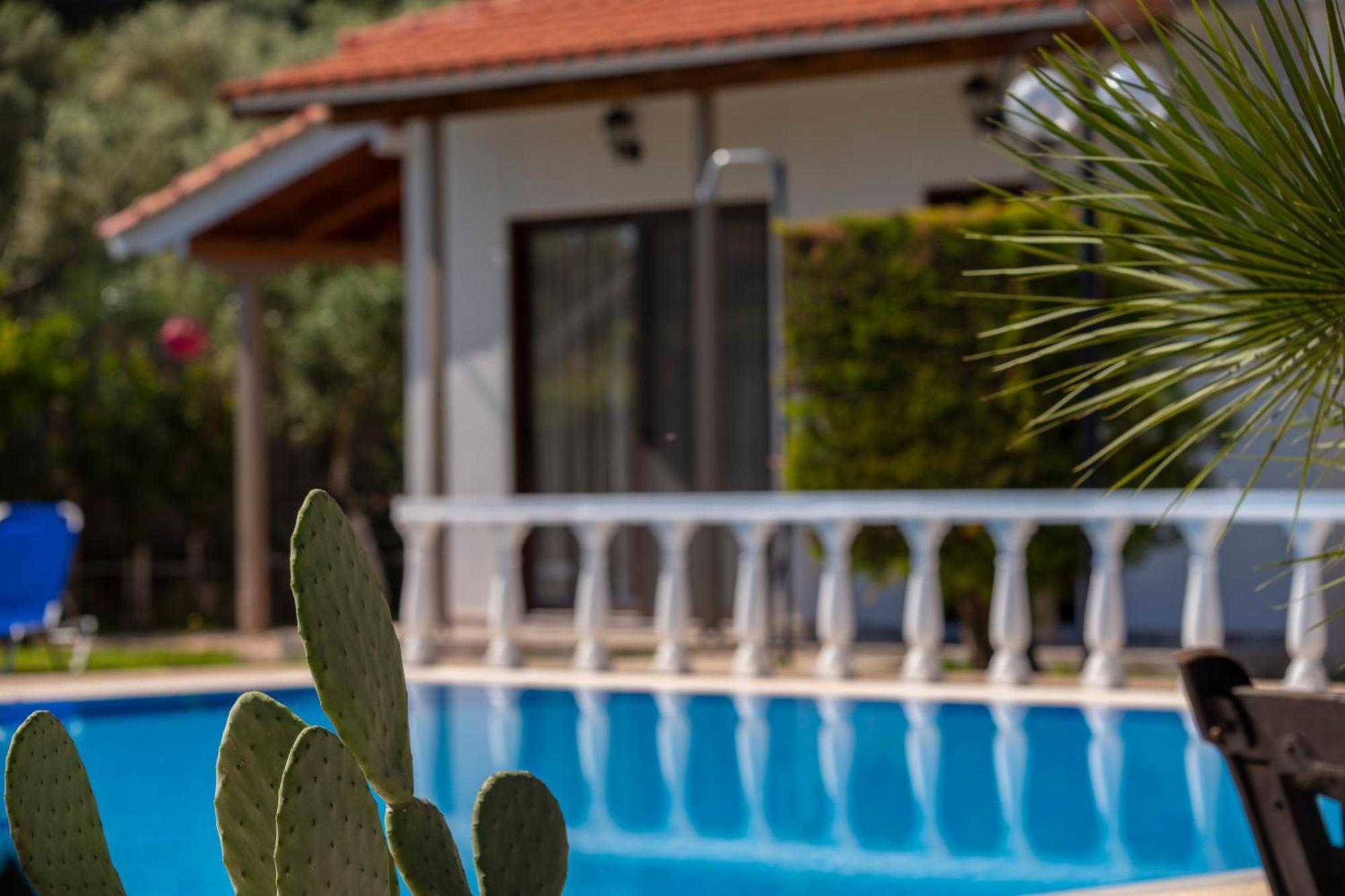 Villa Dimitris Apartments & Bungalows Frínion Екстериор снимка